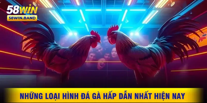 Những Loại Hình Đá Gà Hấp Dẫn Nhất Hiện Nay